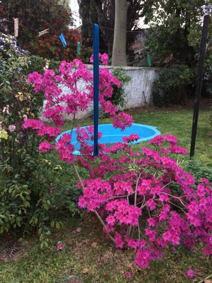 B&B Polo (Adults Only) Villa Maipu ภายนอก รูปภาพ
