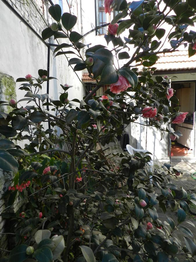 B&B Polo (Adults Only) Villa Maipu ภายนอก รูปภาพ
